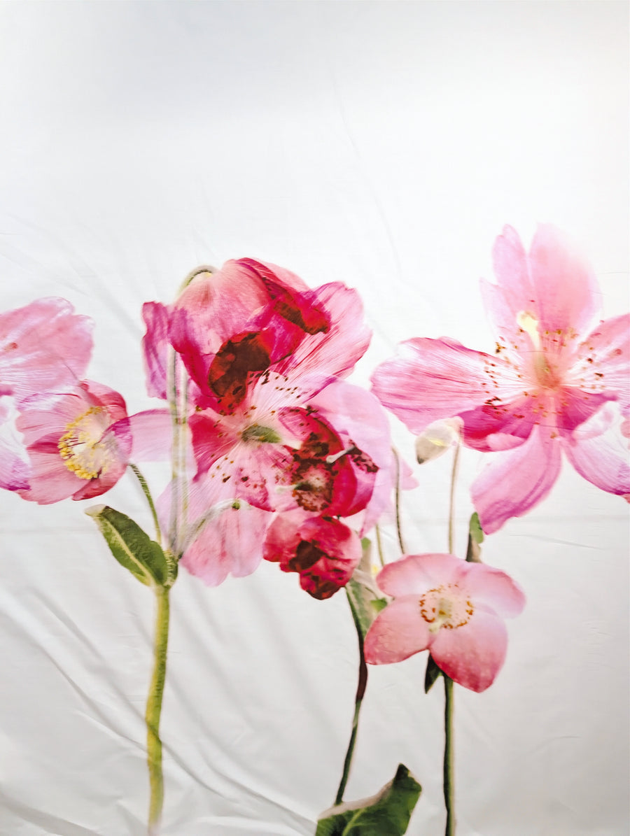 Popeline de coton fluide, grand motif fleuri romantique rose 4 [blankastock:09ecffcf-2bf2-44f3-9395-0d92f38398aa]