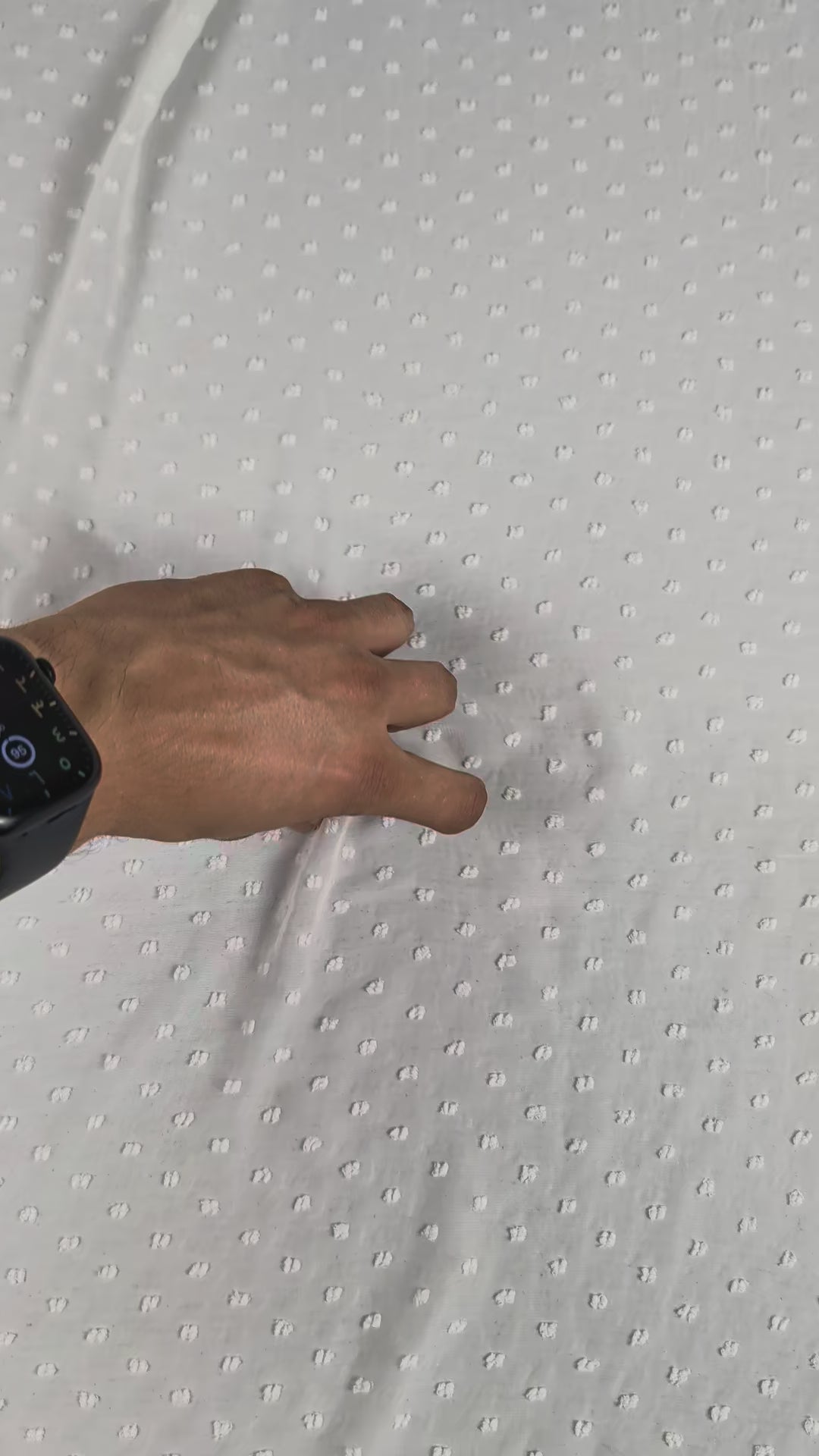 CELESTE - Voile de polyester plumetis video 2 [blankastock:08c8b014-e954-4f40-a7d2-483cd1c2f5bb]