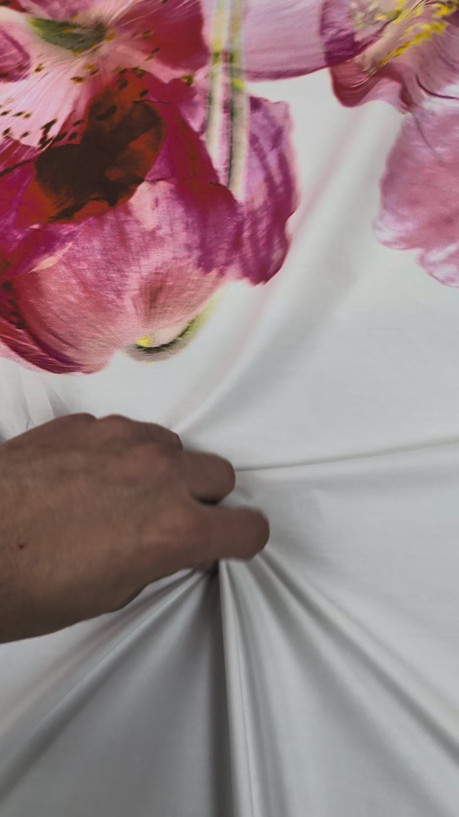 Popeline de coton fluide, grand motif fleuri romantique rose video 2 [blankastock:273a9297-0186-4bb6-b787-41378ad7e6ad:hdr]